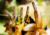 Comment nettoyer une peluche ? Peluchify