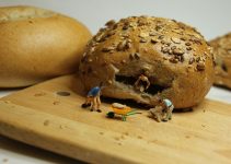 Les mites alimentaires sont-elles toxiques ? MiteGuard
