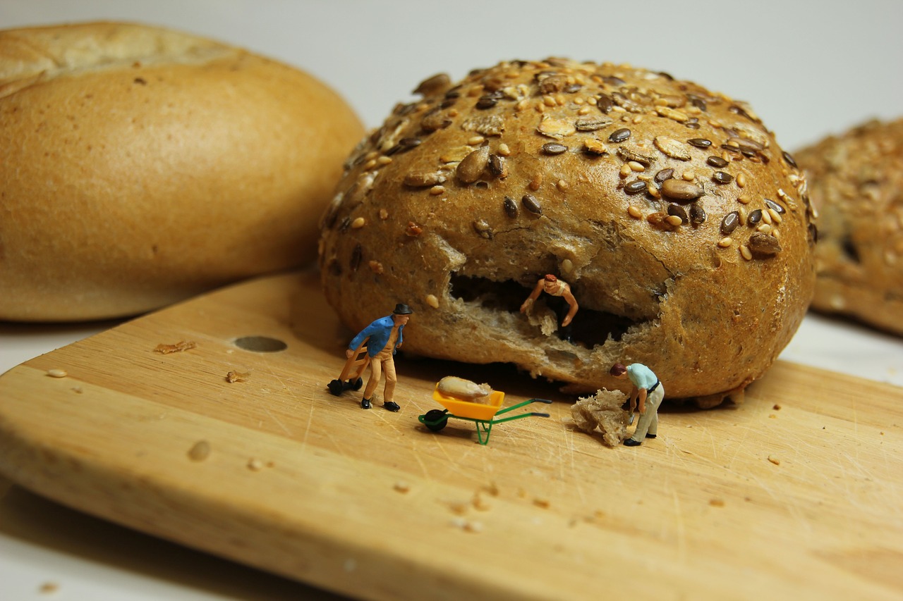 Les mites alimentaires sont-elles toxiques ? - Actualite-Algerie